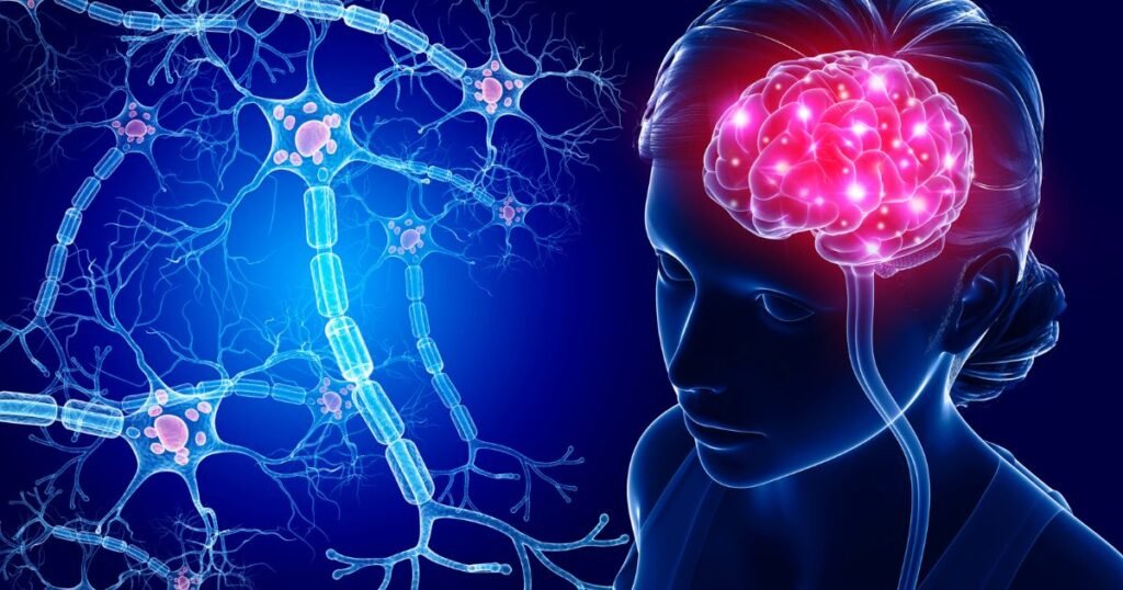 human brain