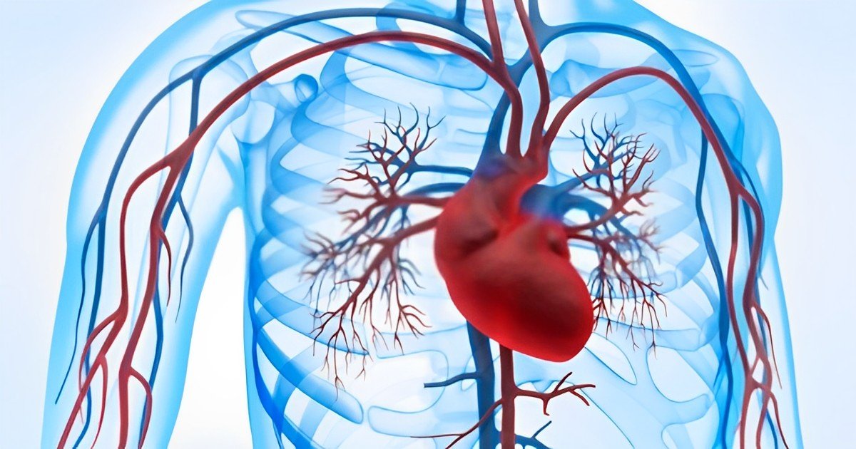 Heart Mutation with blood circulation