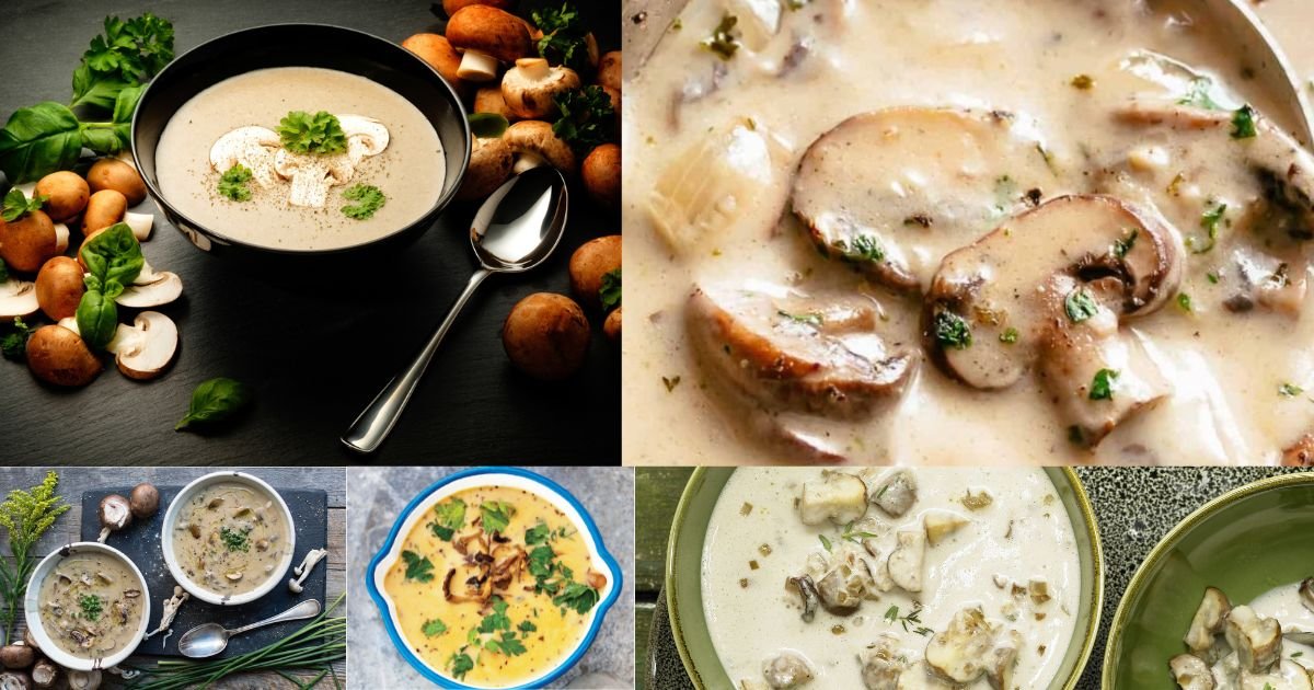 Cream of Mushroom Soups in 2023