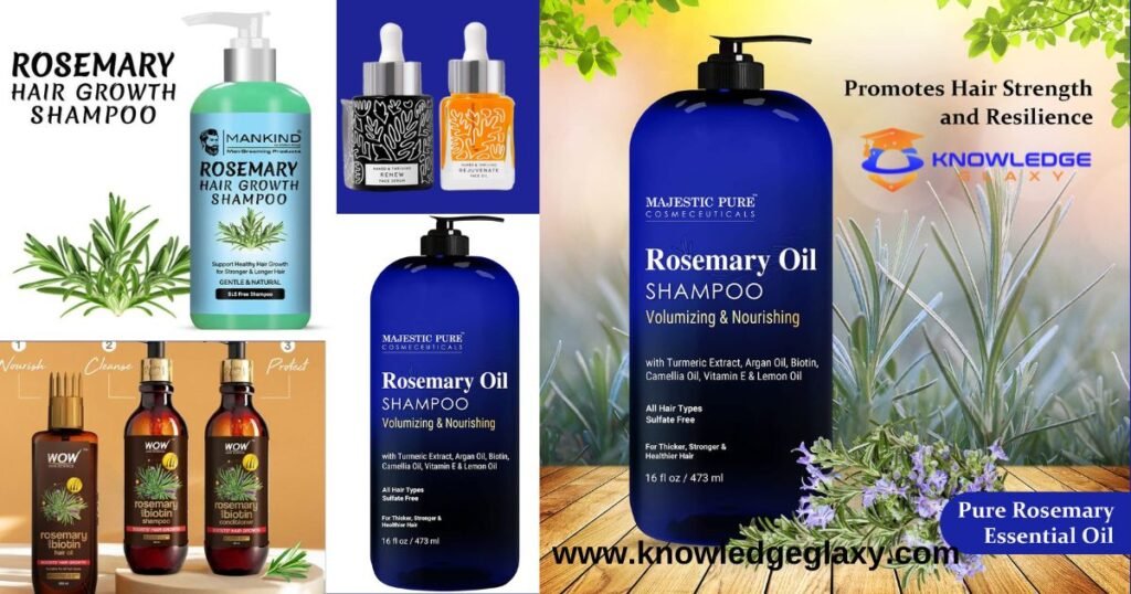 Rosemary oil Shampoo Brands