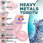 Heavy Metal Toxicity