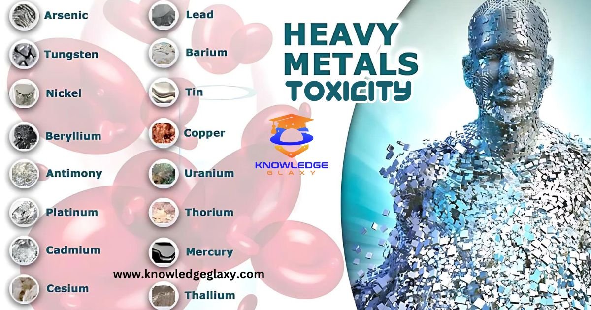 Heavy Metal Toxicity